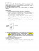 Quimica Organica. La química orgánica o del carbono