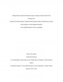 Trabajo final de Cadena de Suministros para la empresa Jaslynz Fashion SAC