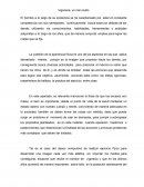 Vigorexia, un mal oculto