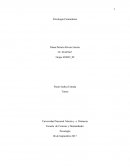 Psicología Comunitaria ensayo