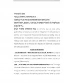 Agencias 04 UDI Unidad de dirección de investigación