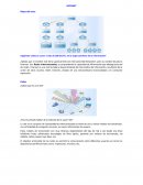 ¡Agárrate vamos a correr a más de 300 km/hr, en la Supercarretera de la información!