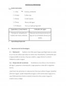 Participa en campañas de cuidado del medio ambiente.