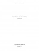 TRABAJO DE FILOSOFÍA MEDELLIN