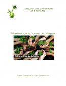 BACHILLERATO EN CIENCIAS Y LETRAS POR MADUREZ