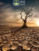 CAMBIO CLIMATICO GLOBAL