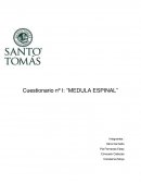 Alfabetizacion cientifica. Cuestionario nº I: “Medula espinal”