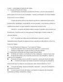 Generalidades del Derecho del Trabajo