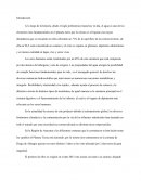 Proyecto de Agua purificada (ficticio)