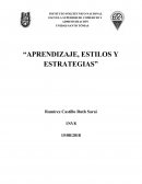 APRENDIZAJE, ESTILOS Y ESTRATEGIAS