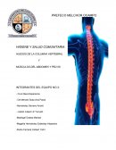 HUESOS DE LA COLUMNA VERTEBRAL