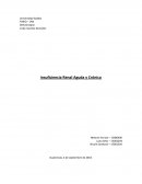 Insuficiencia renal aguda y crónica