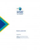 PROYECTO INNOVACION CORRECTO