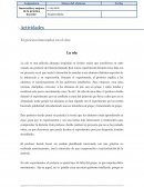 El proceso innovador en el cine