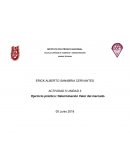 Unidad 1 Medicion y desarollo