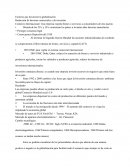 Factores que favorecen la globalización