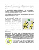 Medidas de seguridad a la hora de manejar