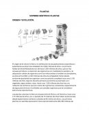 PLANTAS ORIGEN Y EVOLUCIÓN.
