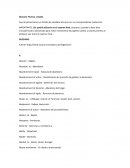 GLOSARIO INGLES JURIDICO