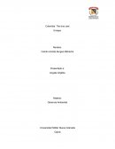 Ensayo The true cost