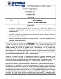 Laboratorio cromosomas. Página 1