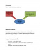 GESTIÓN ESCOLAR: FALTA DE COMPRENSIÓN EN LOS ALUMNOS, PROCEDIMIENTO (DETECCIÓN DEL PROBLEMA, DISCREPANCIA, OBJETIVOS DE MISIÓN, REQUISITOS DE EJECUCIÓN, PERFIL DE MISIONES, FUNCIONES.... )