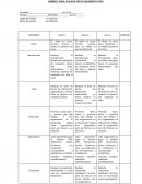 RÚBRICA PARA EVALUAR TEXTO ARGUMENTATIVO
