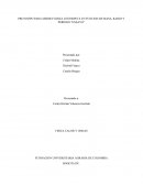 PROTOTIPO PARA MEDIR FUERZA CENTRIPETA EN FUNCION DE MASA, RADIO Y PERIODO