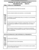 ESQUEMA DE ANÁLISIS, INTERPRETACIÓN Y ARGUMENTACIÓN - ENSAYO