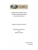 Donald Trump confidence man