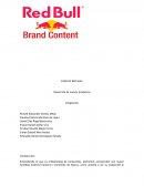 Red bull ensayo