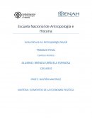 MATERIA: ELEMENTOS DE LA ECONOMÍA POLÍTICA