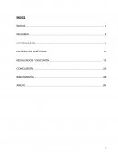 Producción de Rabanitos Organicos