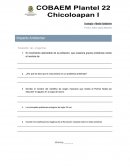 Impacto, causa, efecto ambiental Desarrollo sustentable.