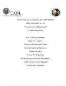 Actividad integradora 1 y 2