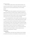 Mecanismo de transporte ensayo