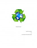 TRABAJO RECICLAJE