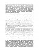 Gobierno municipales en mexico