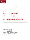 Fondos Y Concursos públicos