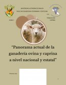 Panorama actual de la ganadería ovina y caprina a nivel nacional y estatal
