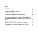 TMERT en chile , Prevencion de riesgos y salud ocupacional