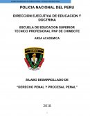 Silabo pnp derecho penal