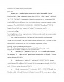 PERITO CONTADOR PRESENTA INFORME