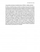 Las grandes empresas manufactureras en México: análisis sectorial