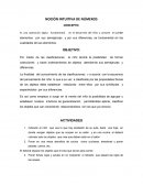 NOCIÓN INTUITIVA DE NÚMEROS