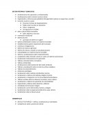 Lengua Materna Fase1