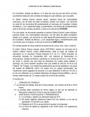 CONTRATO DE TRABAJO INDIVIDUAL.
