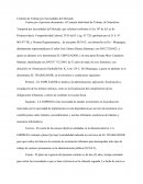 Contrato de Trabajo por Necesidades del Mercado