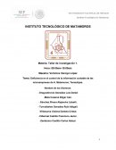 Deficiencia en el control interno de las microempresas