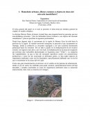 El tema general del panel en el cual se presentó el tema tenía por temática general las ciudad y el cambio climático.